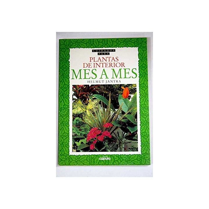 Cuidados para plantas de interior. Mes a Mes